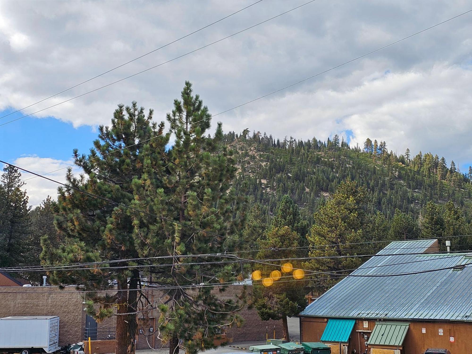 Cinnamon Bear Inn Mammoth Lakes Exterior foto
